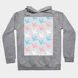 Trans Birds Flag Design Hoodie